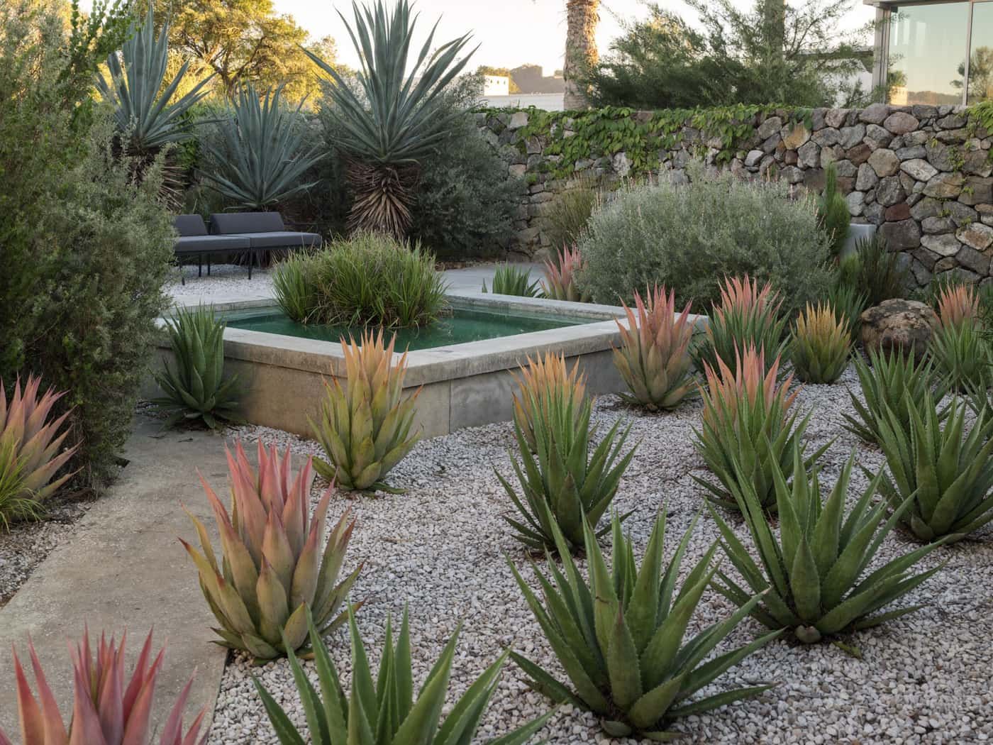 indigenous garden