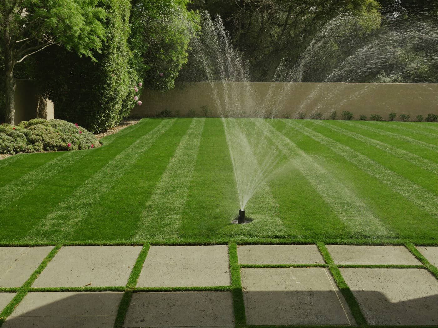 new lawn